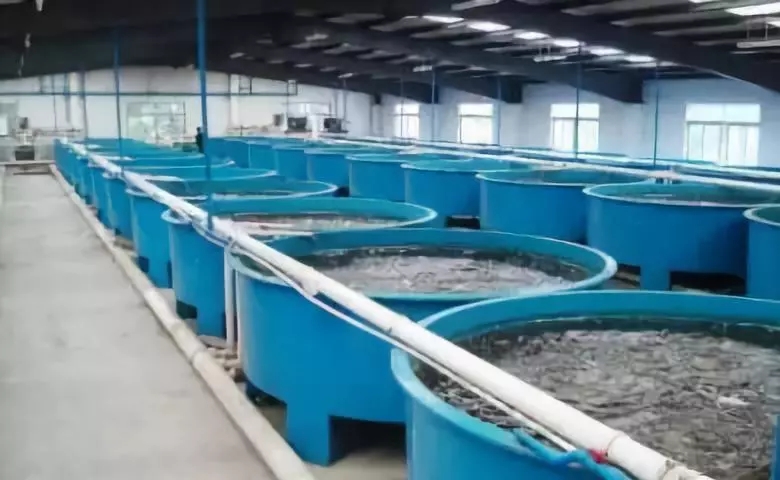 空气源热泵恒温水产养殖 空气源热泵恒温水产养殖