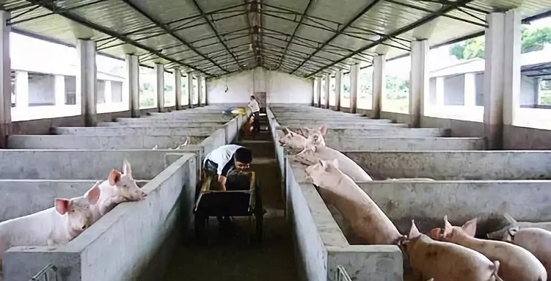 Öí³¡¿ÕÆøÔ´ÈȱõØÅ¯°¸Àý Öí³¡¿ÕÆøÔ´ÈȱõØÅ¯°¸Àý